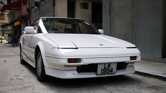 AVOCADO LEATHER STYLE PLATE - Avocado leather license plate