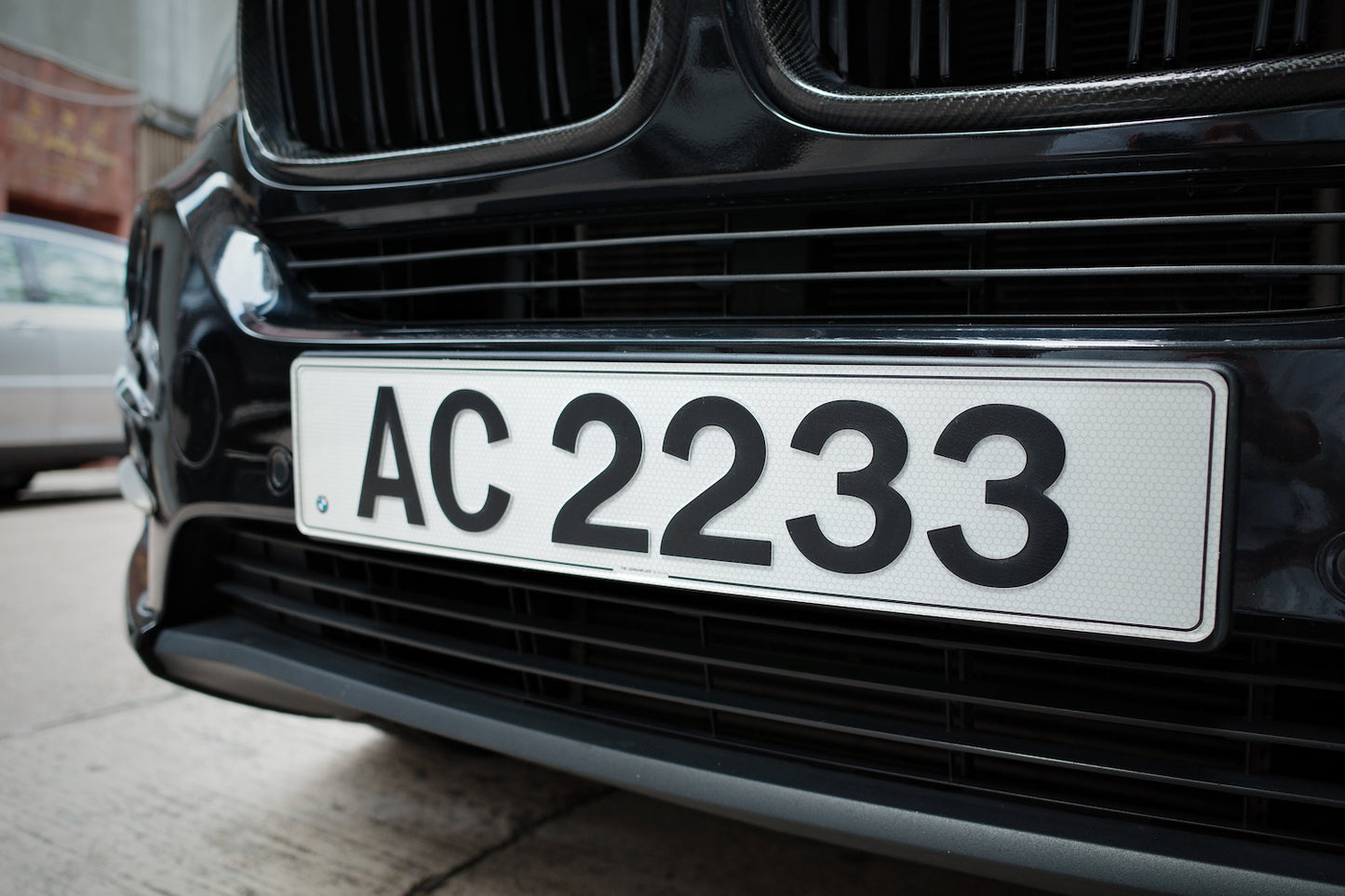 AVOCADO LEATHER STYLE PLATE - Avocado leather license plate