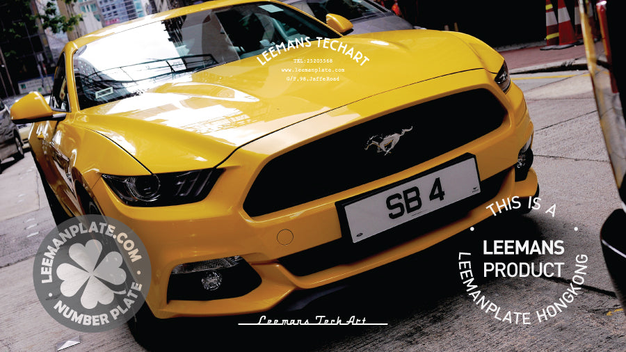 Standard Number Plate - Standard flat license plate