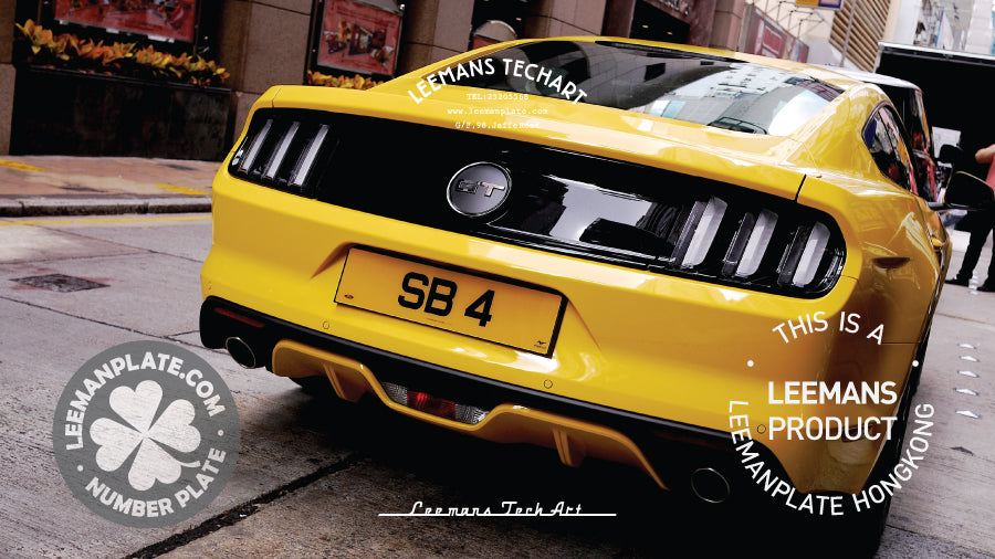 Standard Number Plate - Standard flat license plate