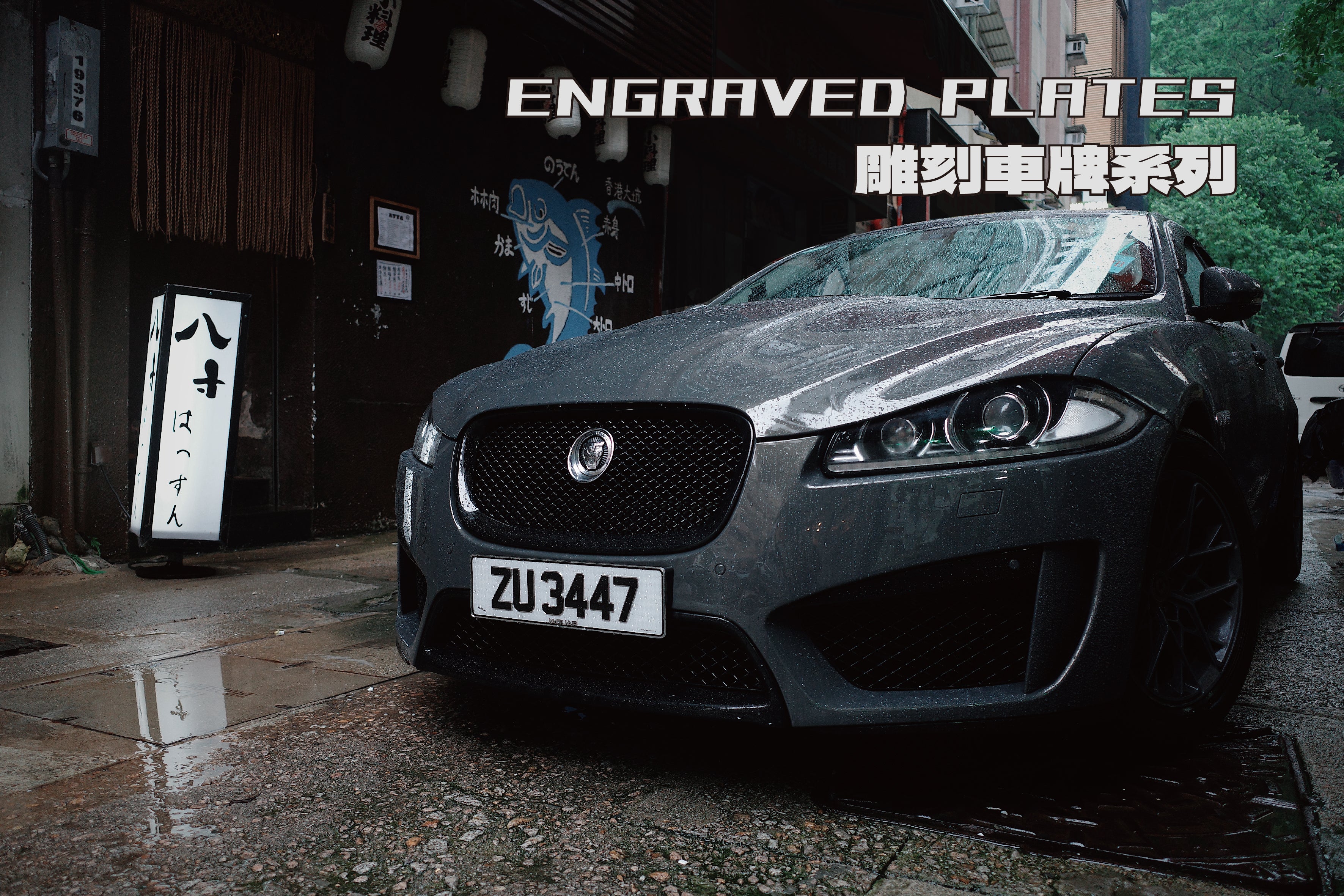 雕刻車牌 - 個性化私家車專屬設計 – The Leemanplate