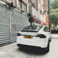マット ダイヤル - マット ブラック エンボス加工された自家用車のナンバー プレート